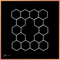 Hexagon 14