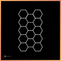 Hexagon 19