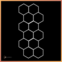 Hexagon 12